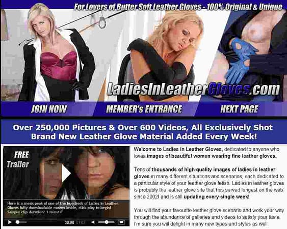 Ladies In Leather Gloves