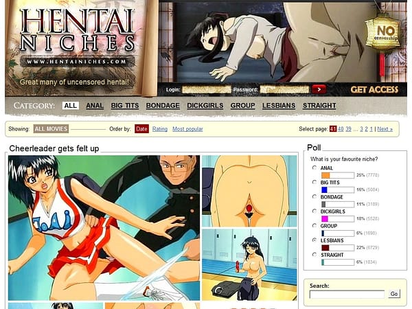 Hentai niches